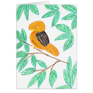 CockOfTheRock (Rupicola péruvianus)