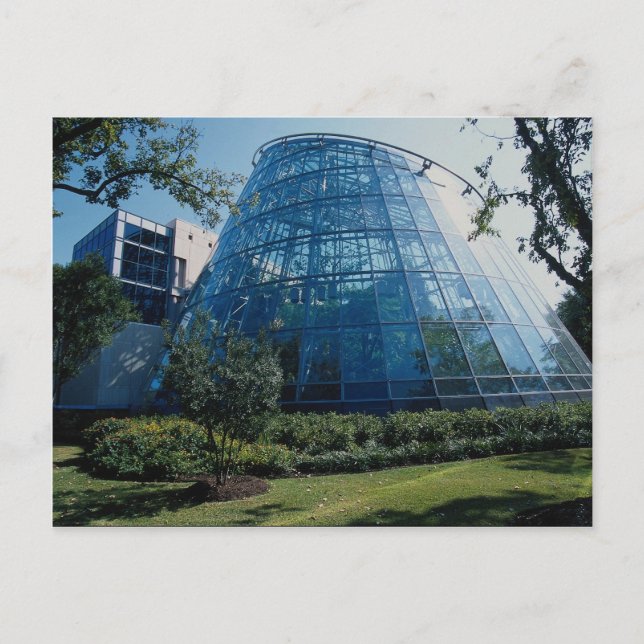 Cockrell Butterfly Center, Ausstellung, Houston Mu Postkarte (Vorderseite)