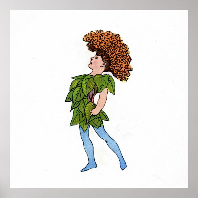 Cocks-Comb Poster (Vorne)