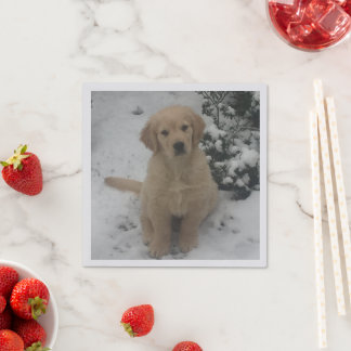 Cocktail Napkins - Golden Retriever Puppy Serviette