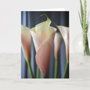 Cocktail Party White Calla Lily Cartes photo