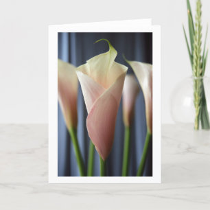 Cocktail Party White Calla Lily Grußkarten Karte
