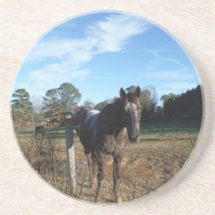 Coco and Cream brown horse Sandstein Untersetzer