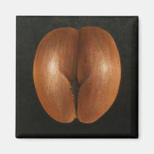 Coco de Mer 2010 Magnet