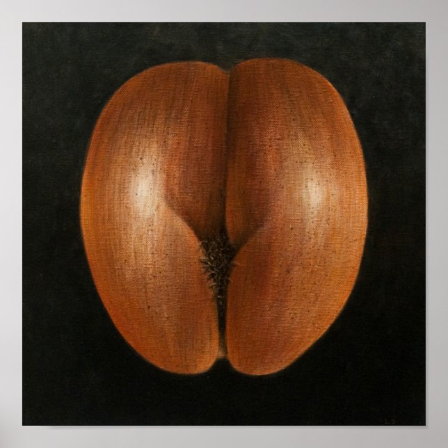 Coco de Mer 2010 Poster (Vorne)