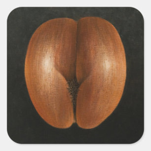Coco de Mer 2010 Quadratischer Aufkleber