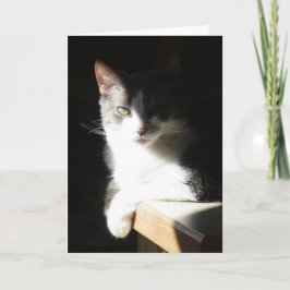 "Coco in the Light I." Grußkarte Karte