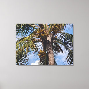 COCO PALM LEINWANDDRUCK