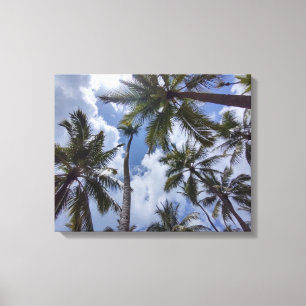 COCO PALMS #2 AUF LEINWAND 20 "x 16"