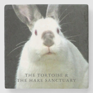 Coco-Untersetzer Steinuntersetzer