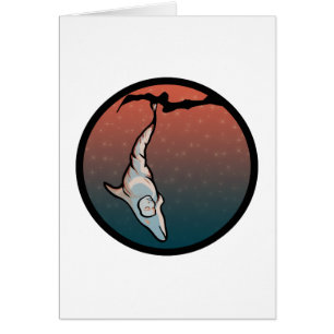 cocon dauphin étoilé