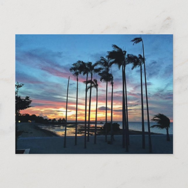 Coconut am Strand Postkarte (Vorderseite)