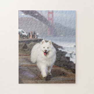 Coconut - Golden Gate Bridge