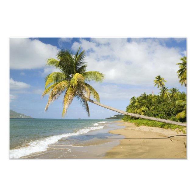 Coconut Grove Beach in Cades Bay, mit St. 2 Fotodruck (Vorne)