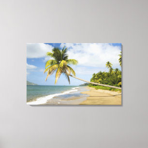Coconut Grove Beach in Cades Bay, mit St. 2 Leinwanddruck