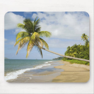 Coconut Grove Beach in Cades Bay, mit St. 2 Mousepad