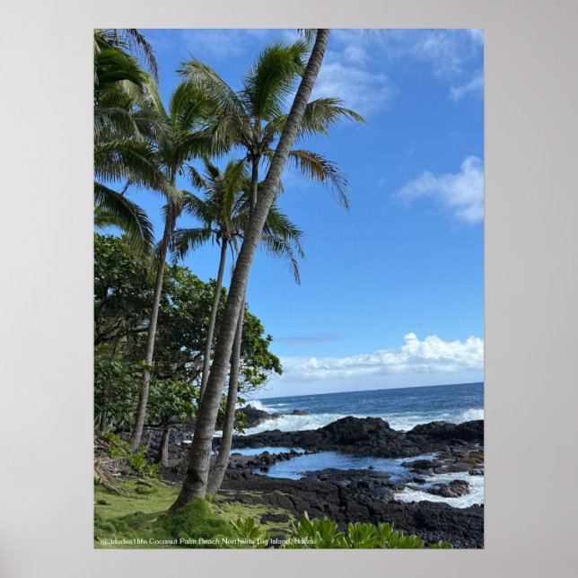 Coconut Palm Beach Hawaii Poster @3dudes1life (Devant)