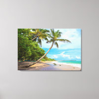 Coconut Palm, Mirissa Beach | Sri Lanka