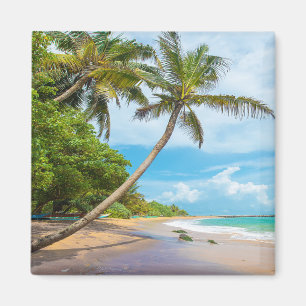Coconut Palm, Mirissa Beach   Sri Lanka Magnet