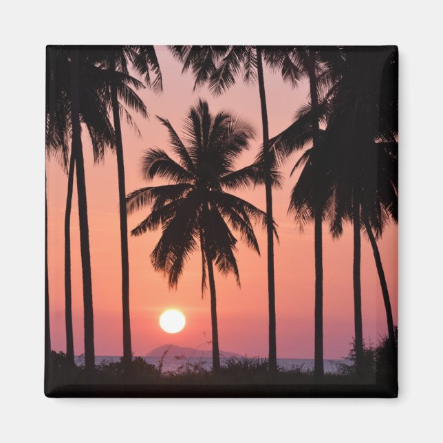 Coconut Palm Tree Landschaft Magnet (Vorne)