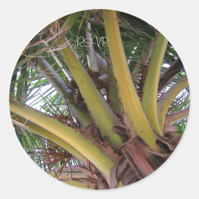 Coconut Palm Tree UAWG Wedding Siegel Sticker (Vorderseite)