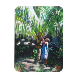 Coconut Shade 2014 Magnet