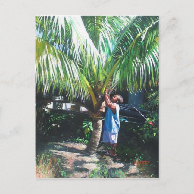 Coconut Shade 2014 Postkarte (Vorderseite)