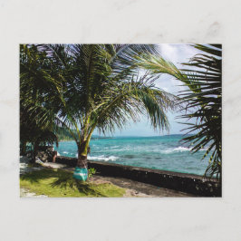 Coconut Tree Rocky Coast Pacific Beach Waves Postkarte