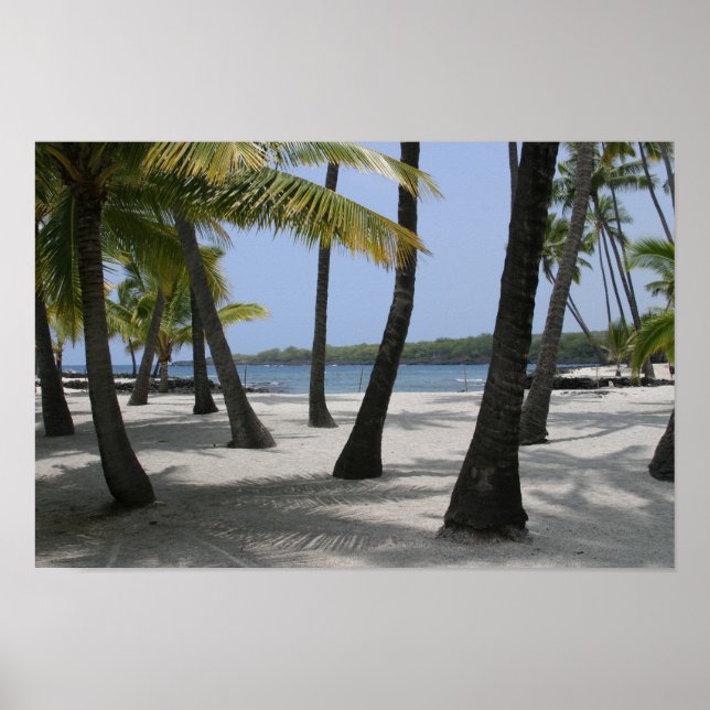 Coconut Trees at Place of Refuge, Hawaii - Print Poster (Vorne)