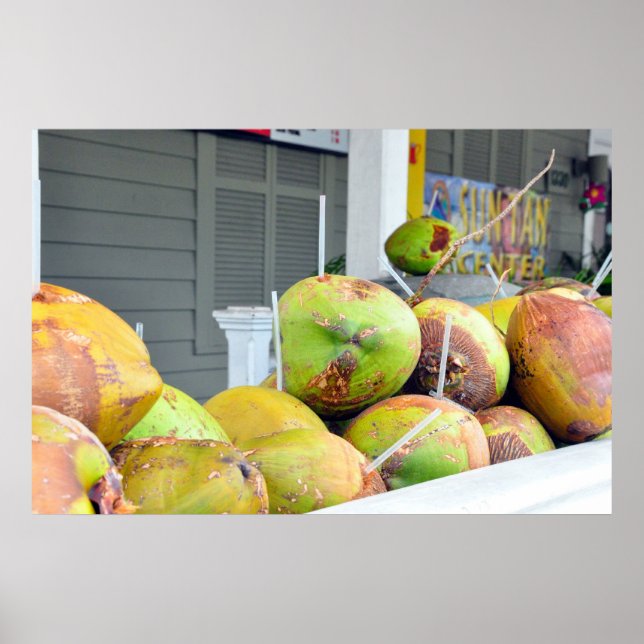 Coconut Water Key West FL Coconuts Poster (Devant)
