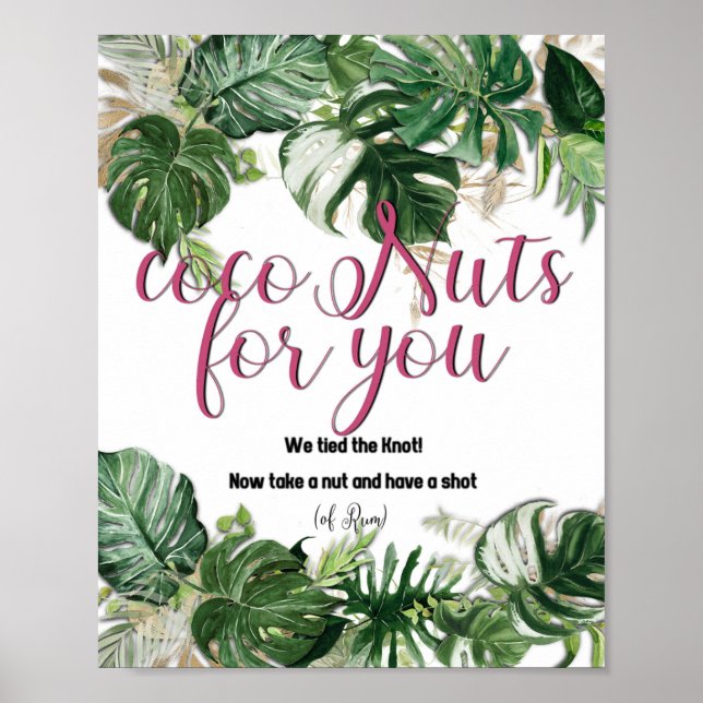CocoNuts für Sie - Poster (Vorne)