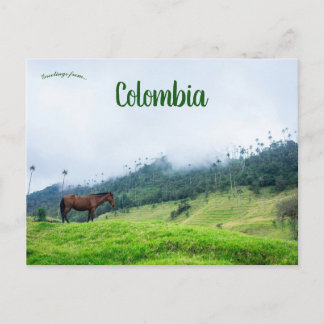 Cocora Valley in Kolumbien Postkarte