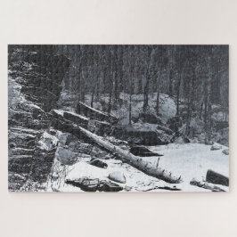 Coda (Winter)