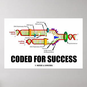 Coded for Success DNA Replication Spaß Poster