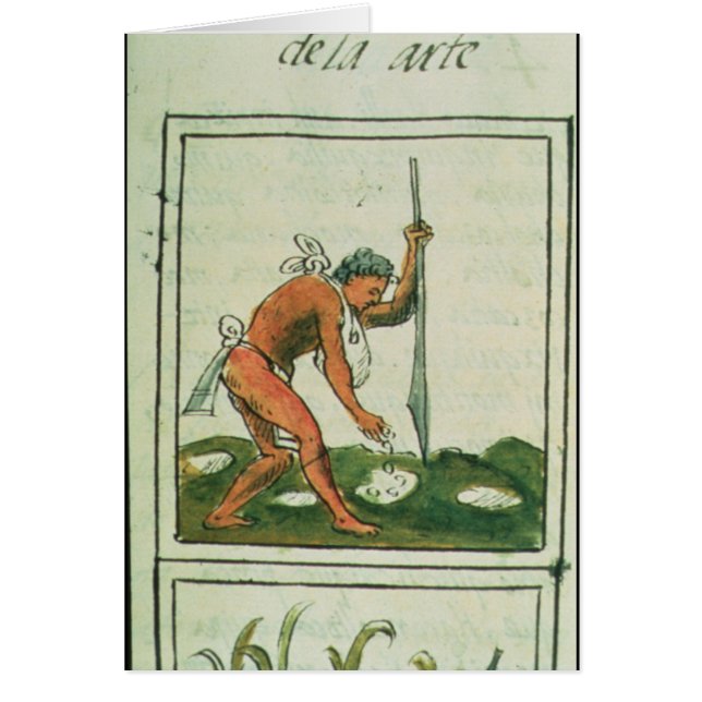 Codex florentin par Bernardino de Sahagun (Devant)