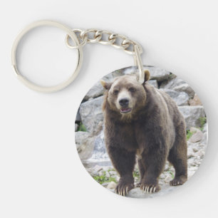 Codiak Bear Standing on a Rock