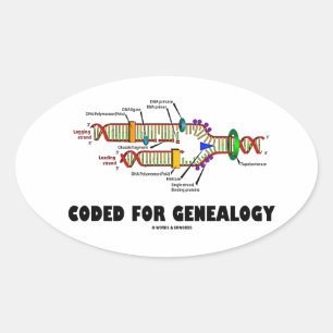 Codiert für die Genealogie (DNA-Replikation) Ovaler Aufkleber