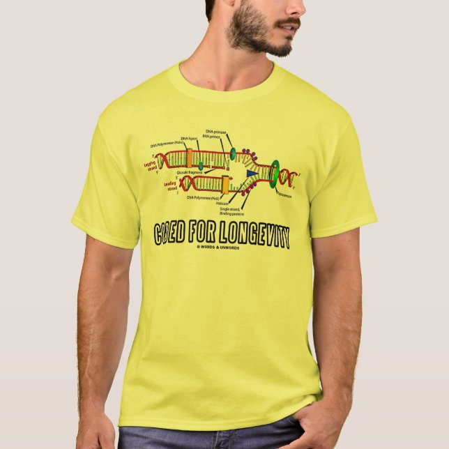 Codiert für Langlebigkeit (DNA-Replikation) T-Shirt (Vorderseite)
