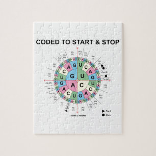 Codiert für Start und Stopp (Codon Wheel)