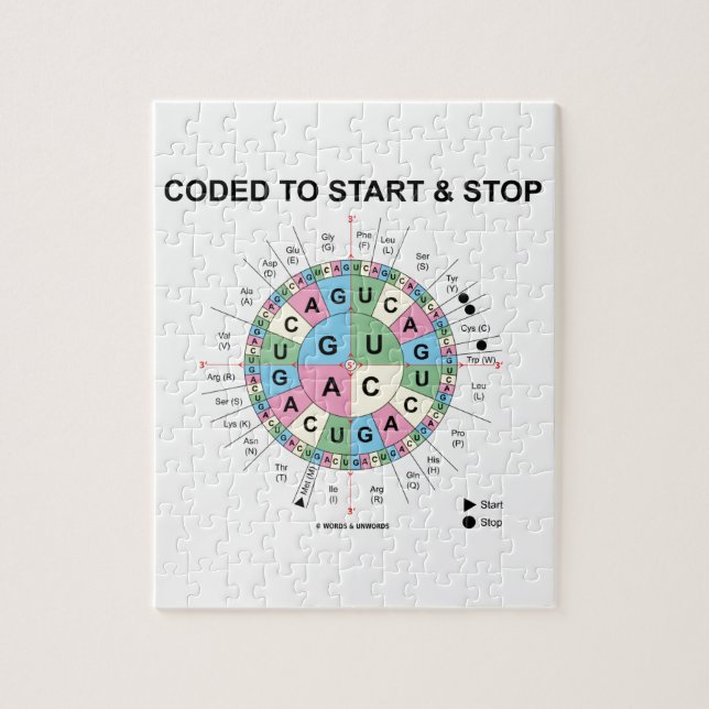 Codiert für Start und Stopp (Codon Wheel) (Vertikal)