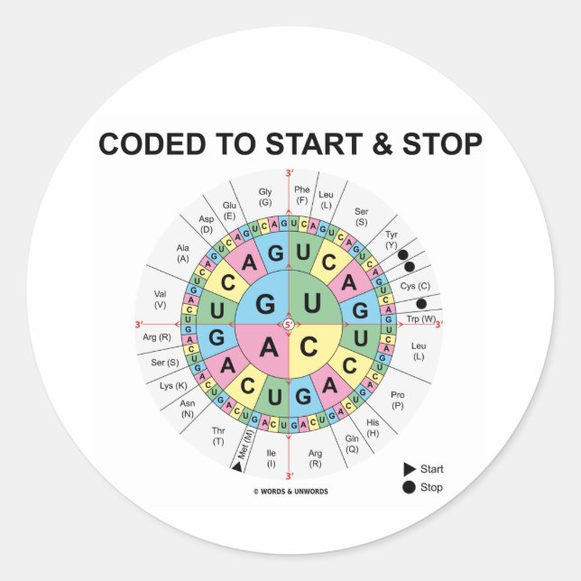 Codiert für Start und Stopp (Codon Wheel) Runder Aufkleber (Vorderseite)