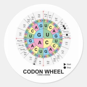 Codon Wheel (RNA Codons Amino Acids) Runder Aufkleber