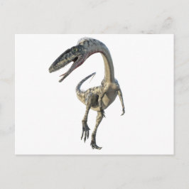 Coelophysis Dinosaur Runiing to the Front Postkarte