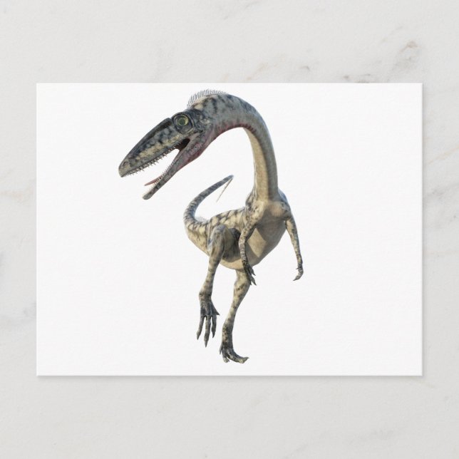 Coelophysis Dinosaur Runiing to the Front Postkarte (Vorderseite)