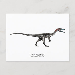 Coelophysis dinosaurier postkarte