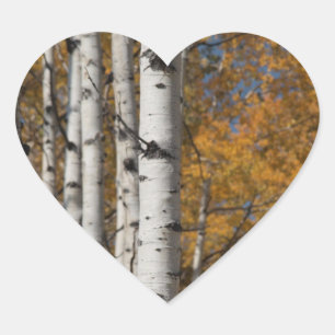 Cœur Allée Aspen à l'automne Sticker Coeur Orane