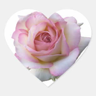 Cœur Beau Sticker Rose de Coeur Rose et Blanc
