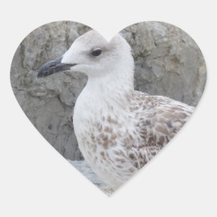 Cœur Bébé Sticker Coeur Seagull