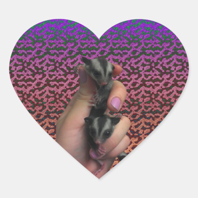 Cœur Bébé Sticker pour filtre à sucre (Devant)