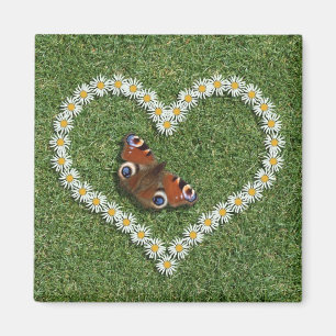 Coeur d'amour de marguerite et aimant de